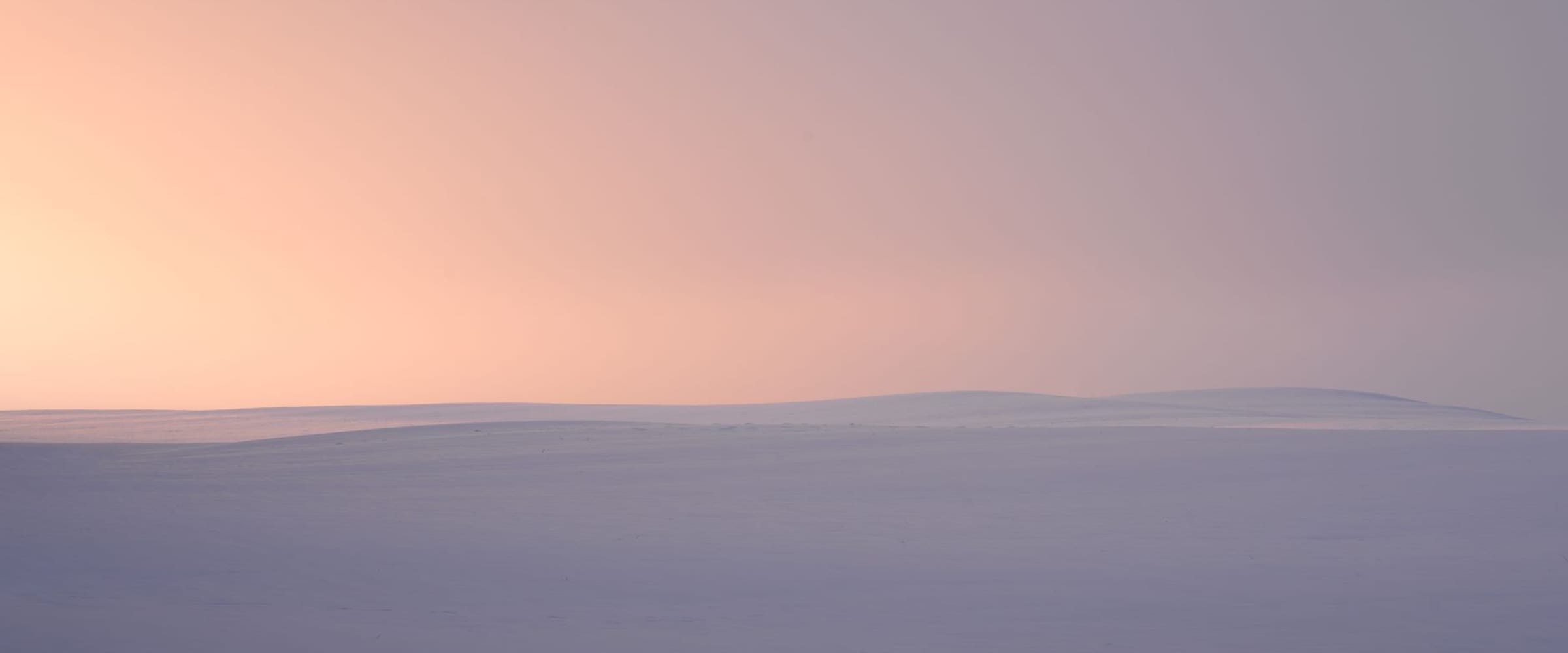 A calm, open landscape under soft dawn light.